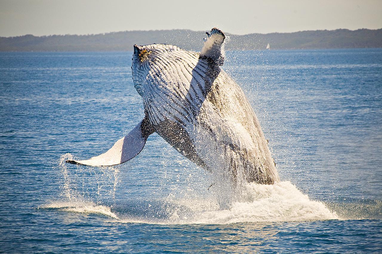 Ingenia Holidays Hervey Bay Esterno foto